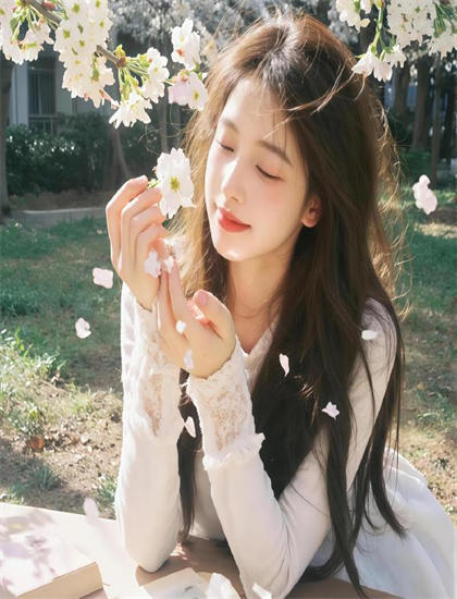 【幕后故事】《花落花开》的背后的故事与启示 体会团队合作的力量